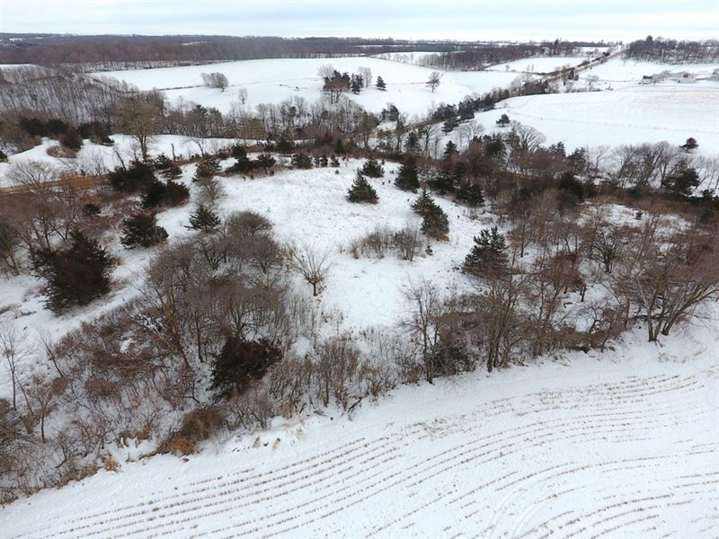 40 Acres in Iowa County, WI, Farm for Sale in Wisconsin, 266177 FARMFLIP