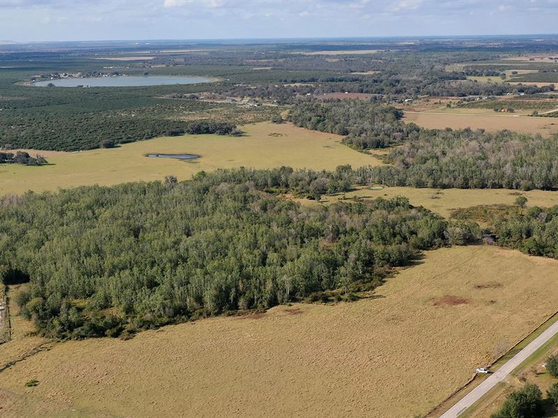 Lake Buffum Road Pasture : Fort Meade : Polk County : Florida