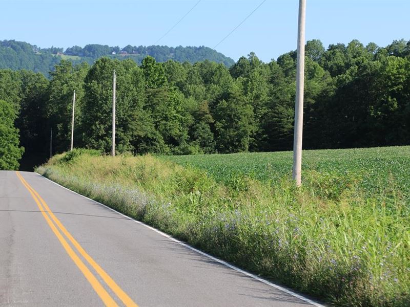 Land Lambsburg Virginia 24351, Farm for Sale in Virginia, 266546