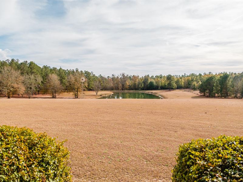 Shell Bluff Landing : Waynesboro : Burke County : Georgia