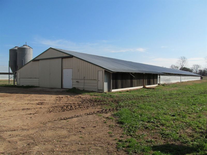 Mount Vernon Poultry Farm, Franklin, Farm for Sale in Texas, 266673