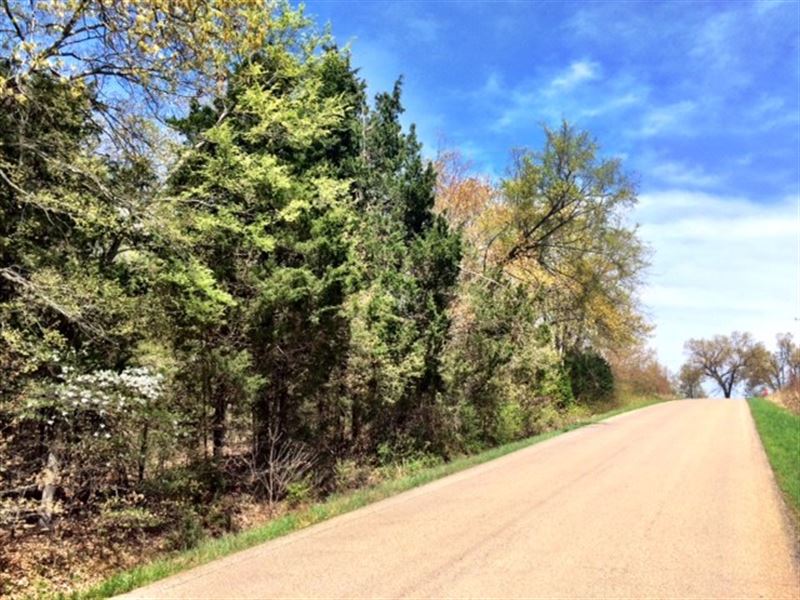 Land for Sale in Pocahontas, AR, Farm for Sale in Arkansas, 266986