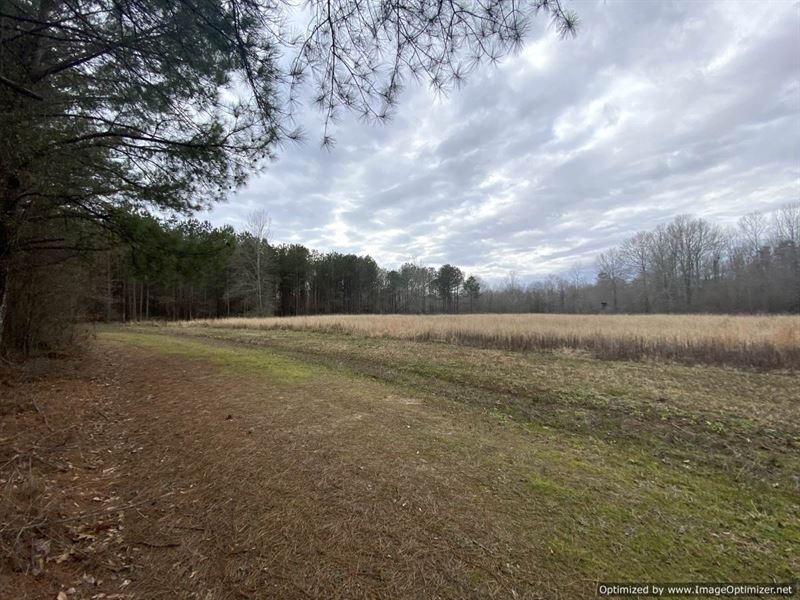 Beautiful Hunting Land and Views Farm for Sale in Forest, Scott
