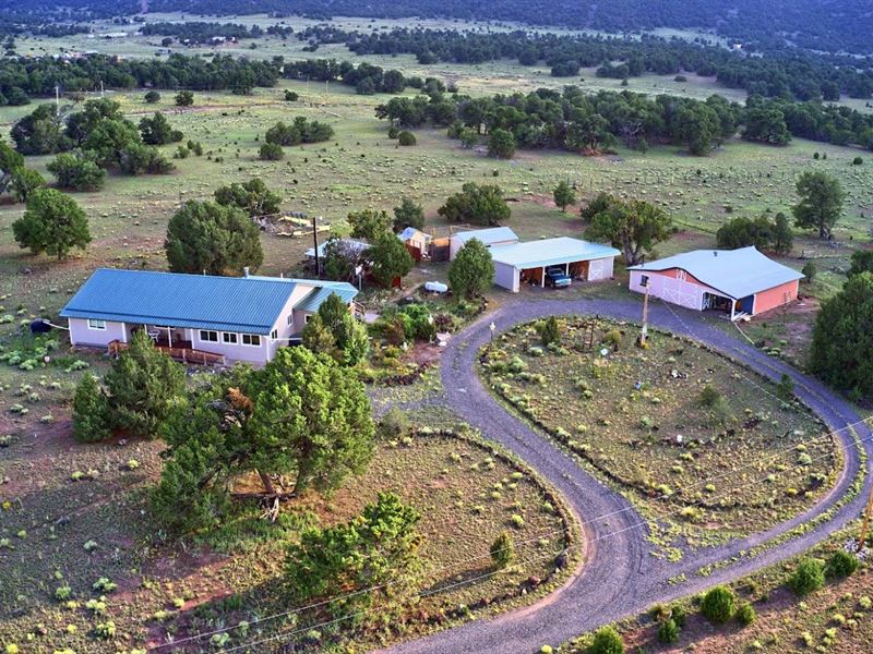 Scenic New Mexico Ranch Farm for Sale in Quemado, Catron County, New