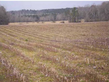 Maddox Family Farms : Tallassee : Elmore County : Alabama