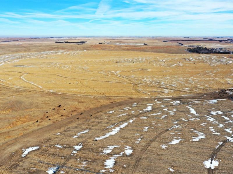 Logan County Pivots and Range : Stapleton : Logan County : Nebraska