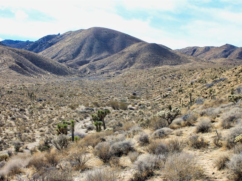 The Will To Win : Apple Valley : San Bernardino County : California