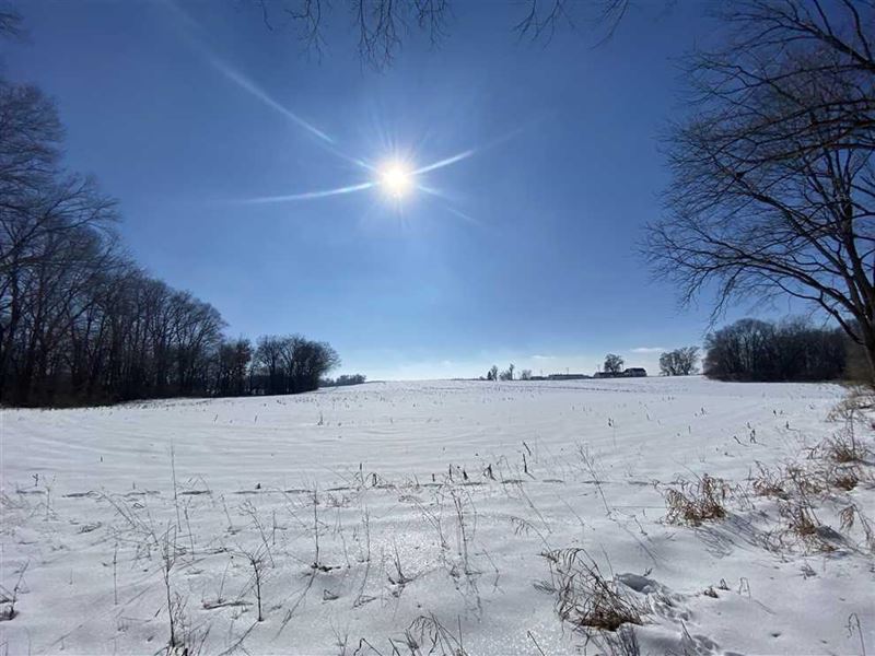 63 Acres / Tillable / Hunting : Mentone : Kosciusko County : Indiana