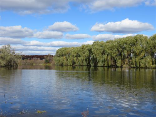 Farm Land with Res Development : Chelsea : Washtenaw County : Michigan