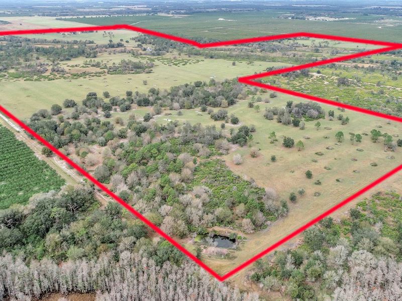 320 Acre Faraway Ranch Property : Zolfo Springs : Hardee County : Florida