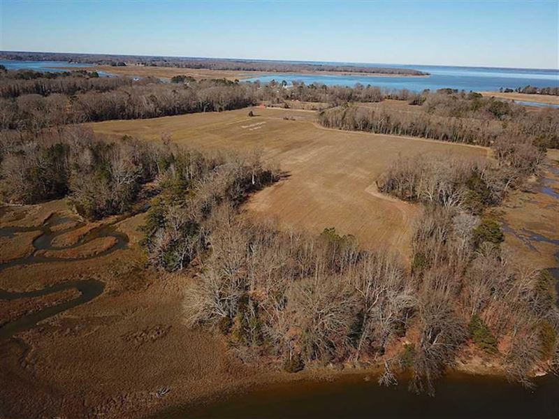 47 Acres on Deep : Battery Park : Isle Of Wight County : Virginia