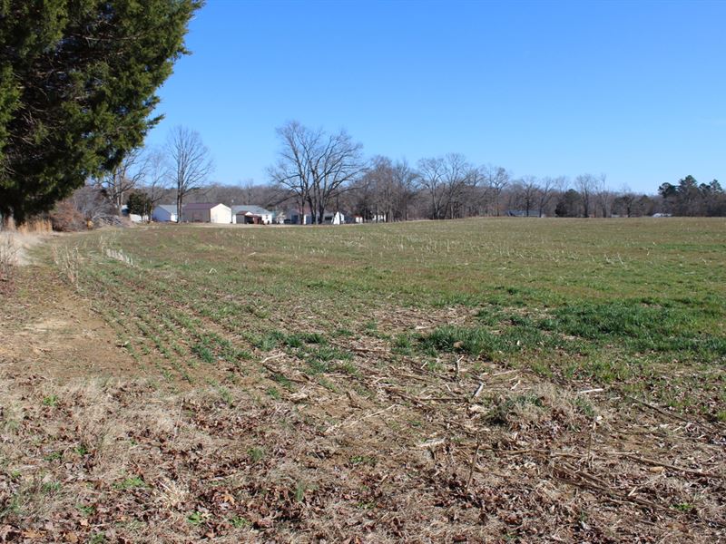 Investment Land To Develop Farm : Adamsville : Hardin County : Tennessee