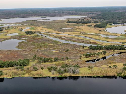 Volusia Island Fish Camp : Geneva : Seminole County : Florida