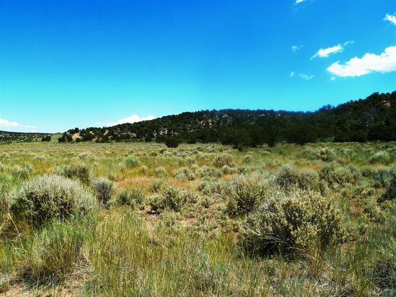 Colorado Recreational Land for Sale : Glade Park : Mesa County : Colorado