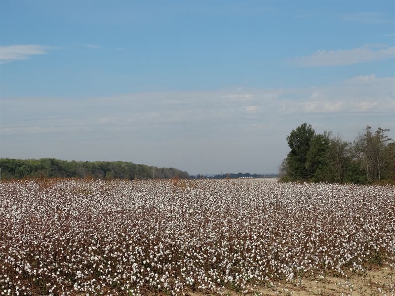 1512 Acres St. Francis County, AR, Farm for Sale in Arkansas, 268098