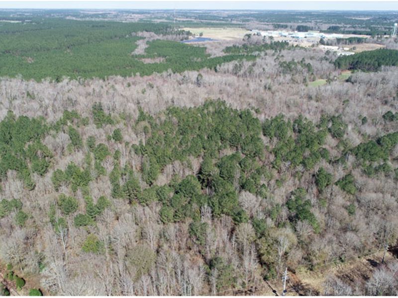71 Acres Wooded, Creek : Wrightsville : Johnson County : Georgia