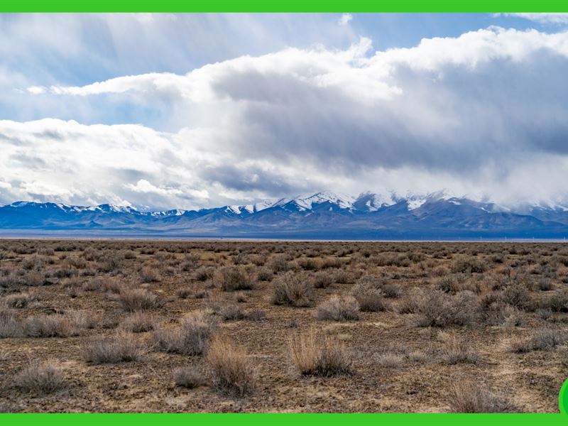 40.1 Acres in Pershing County, NV, Farm for Sale by Owner in Nevada