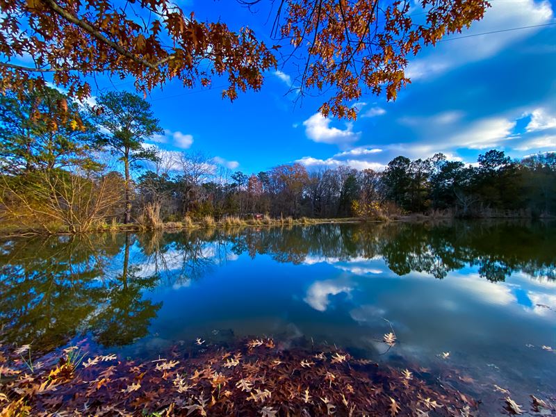 7 Acres, 2 Homes, Pond, Farm for Sale in Alabama, 268268 FARMFLIP