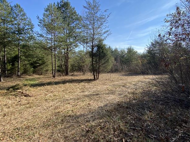 Offgrid Living Lots Farm for Sale by Owner in Williamsburg, Whitley