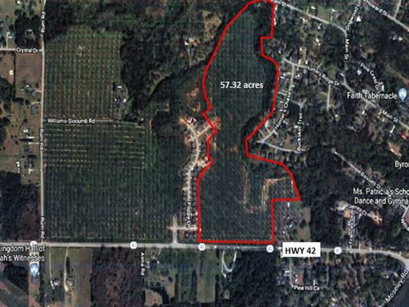 Development Tract in Peach County, Farm for Sale in 268472