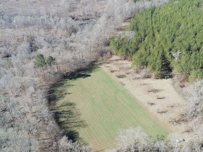 Hatchet Creek Retreat Farm for Sale in Goodwater, Clay County