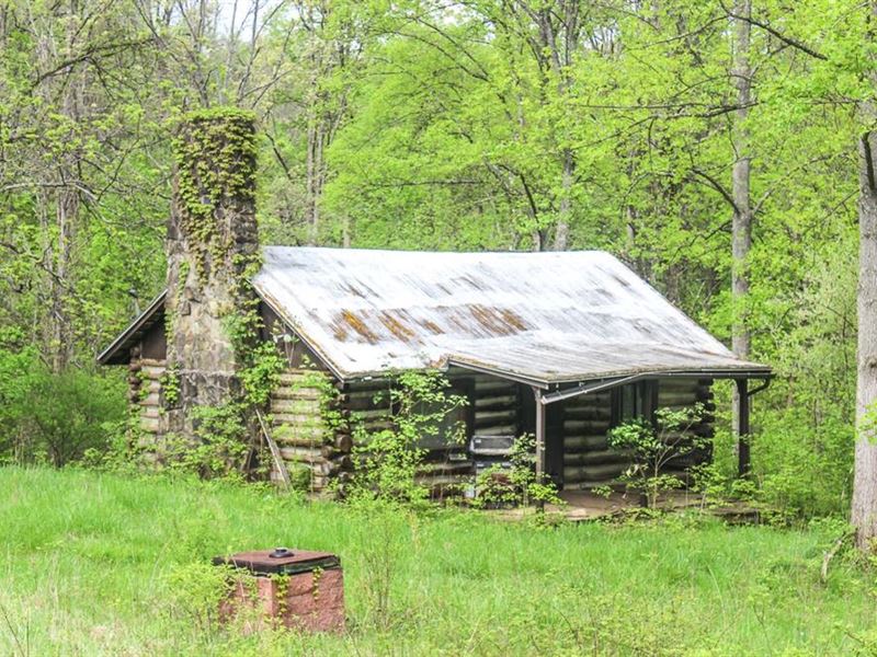 SR 681, 87 Acres, Meigs County, Farm for Sale in Ohio, 269044 FARMFLIP