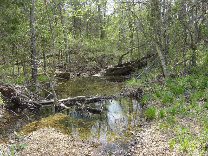 Land North Arkansas, 120 Acres, Farm for Sale in Arkansas, 269058