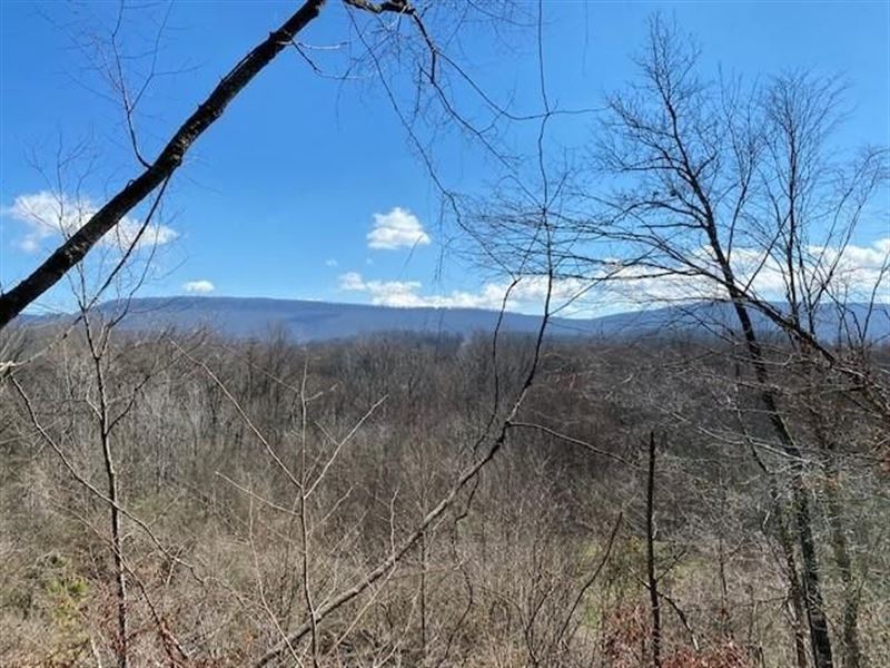 27+/ Acres on The Sequatchie River, Farm for Sale in Tennessee, 269156 FARMFLIP