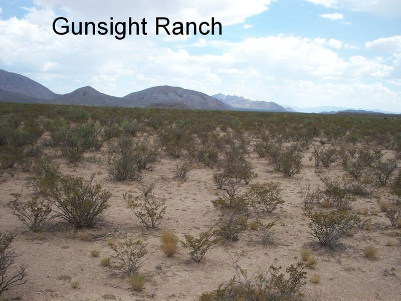 Great Texas Hunting : Sierra Blanca : Hudspeth County : Texas