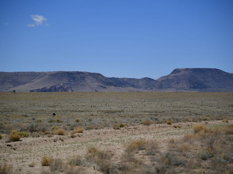 Cordoba, 5 Acres in Costilla : San Luis : Costilla County : Colorado