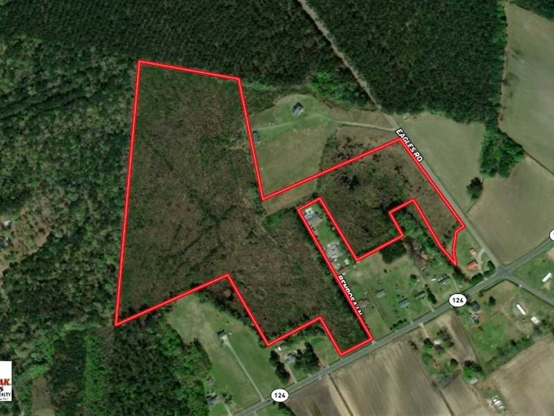 45 Acres of Hunti : Pinetops : Edgecombe County : North Carolina