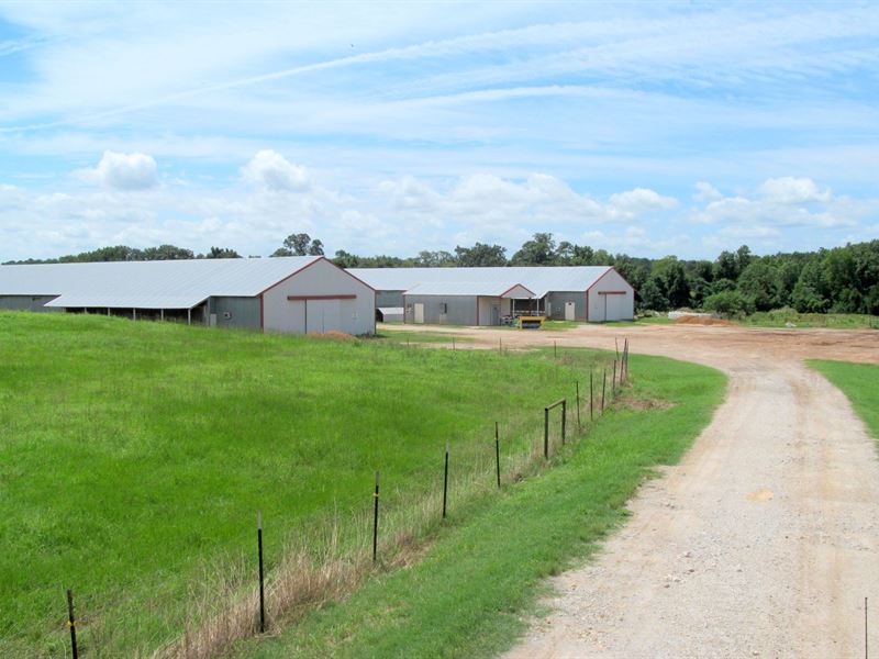 East Texas Acreage & Poultry, Farm for Sale in Texas, 269373 FARMFLIP