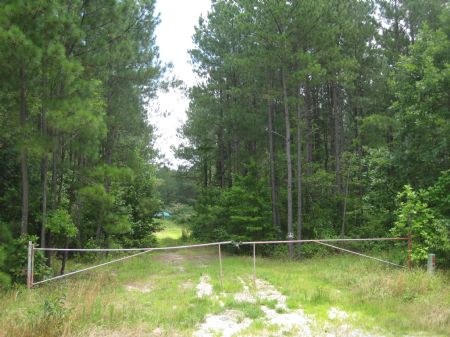 245 Ac Lakefront Timberland : Emporia : Greensville County : Virginia