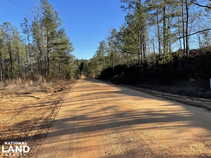 Greenleaf Road Homesite and Hunting : Moundville : Hale County : Alabama