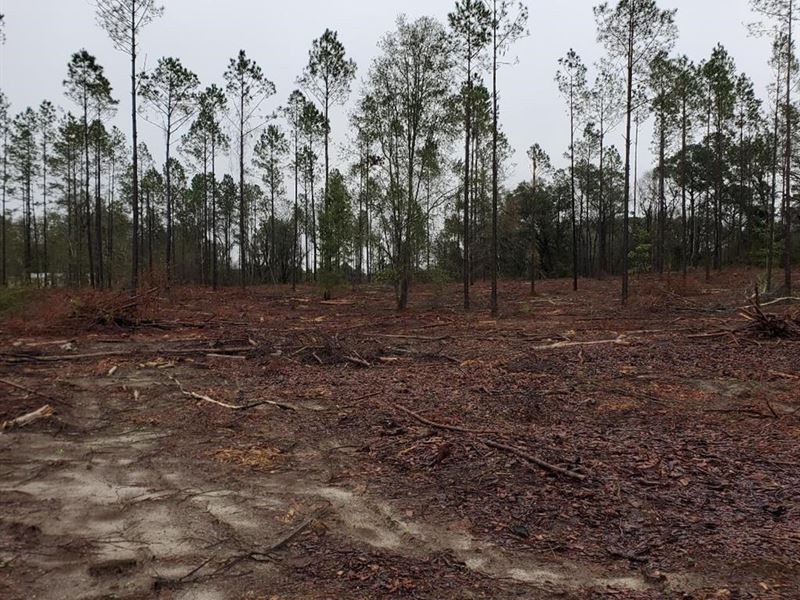 Beautiful Acreage Live Oak Florida Farm for Sale in Live Oak