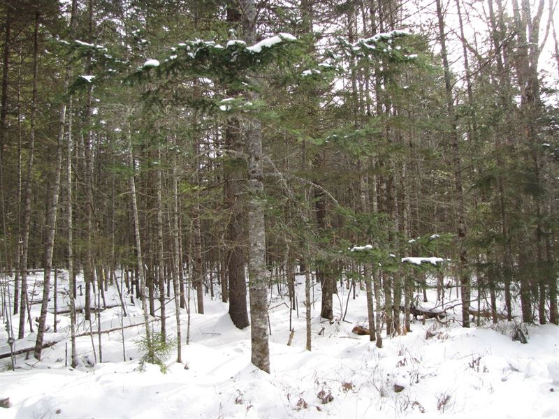 Buildable Land in East Machias : East Machias : Washington County : Maine