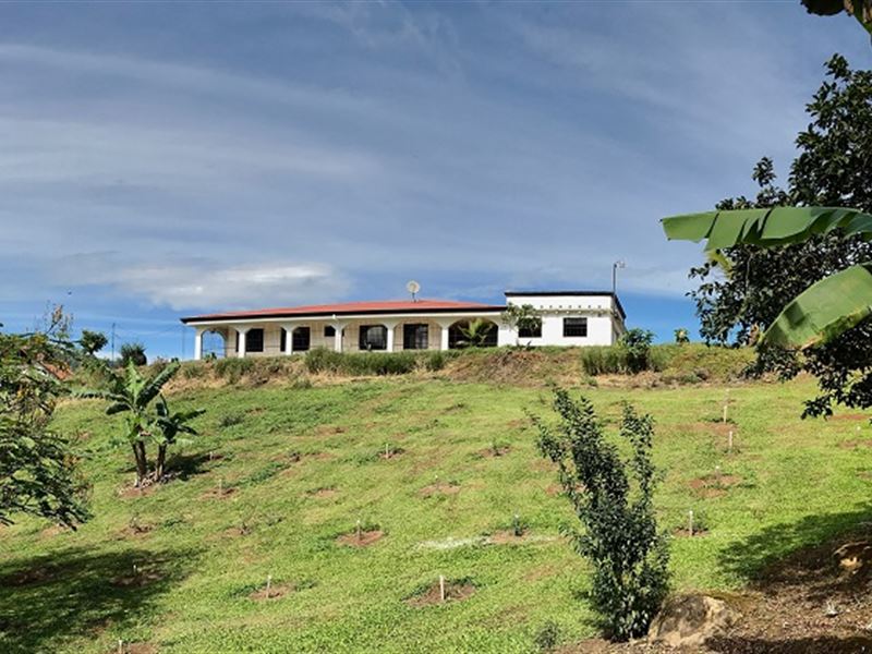 Home, 7.95 Ac, 2 Rentals, Farm for Sale in Costa Rica