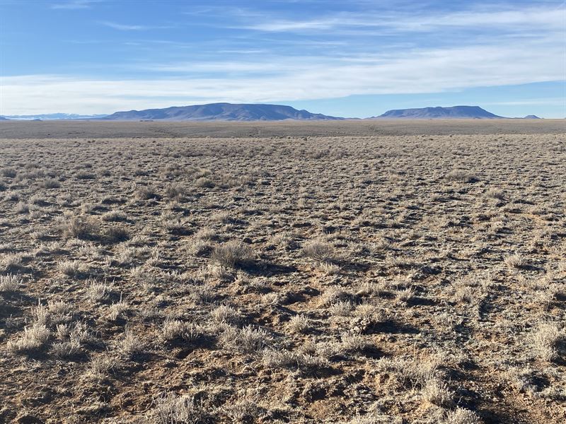 360 Views, River and $125 a Month : San Luis : Costilla County : Colorado
