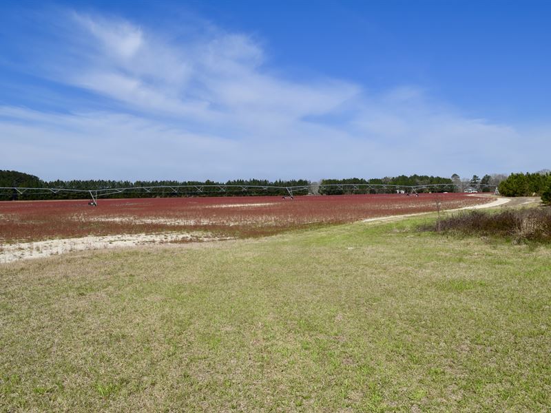 Whitewater Creek Farms : Oglethorpe : Macon County : Georgia