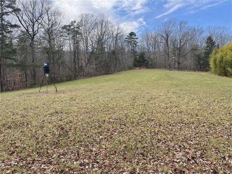 40 Acres of Hunting Land in LA, Farm for Sale in Alabama, 269861