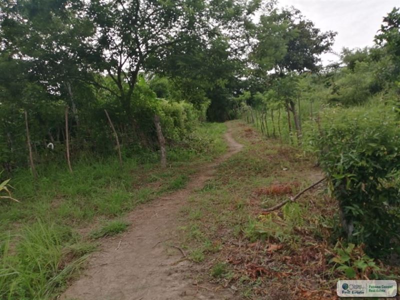 3 Hectares Farm Water Source Aguas, Farm for Sale in Panama, 269875