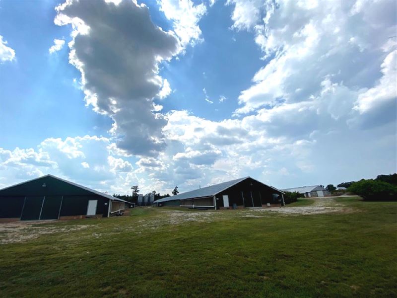 Broiler Poultry Farm, Randolph Cnty : Lineville : Randolph County : Alabama