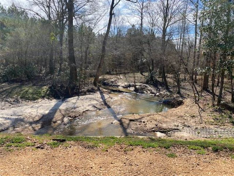 135+/- Acre Family Tract, Creek : Lincoln : Lincoln County : Mississippi