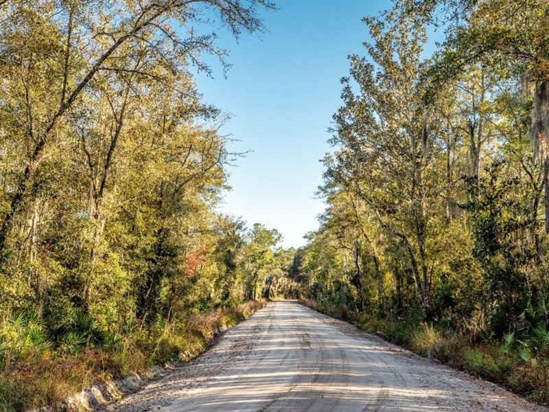 Owner Fin, Premium Forest Property Farm for Sale by Owner in Jasper