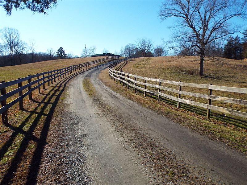 Halifax, Country 224 Acres : Alton : Halifax County : Virginia