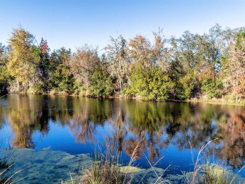 Owner Fin, Large Pond, 9 Acres, Farm for Sale by Owner in Florida