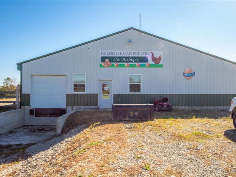 Fairfield Farm : Willisburg : Washington County : Kentucky