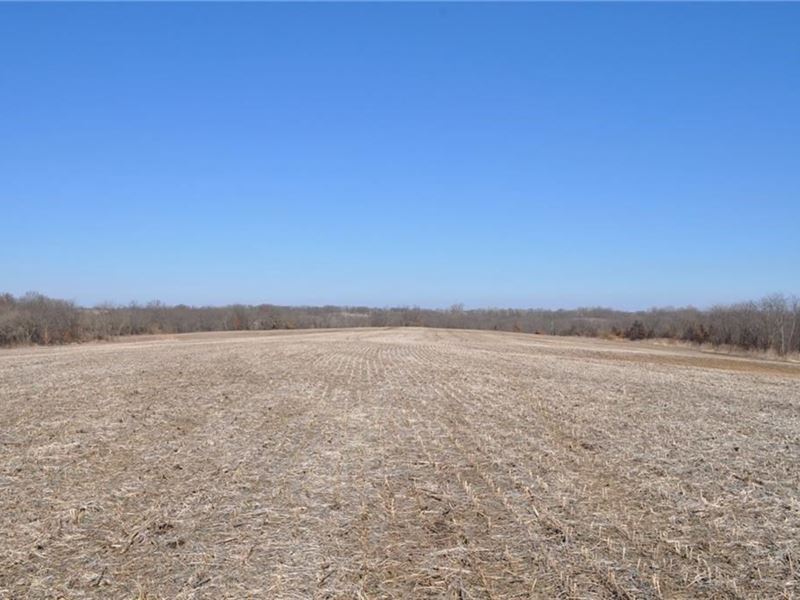 Quality Farm Daviess County, Great Farm for Sale in Jamesport
