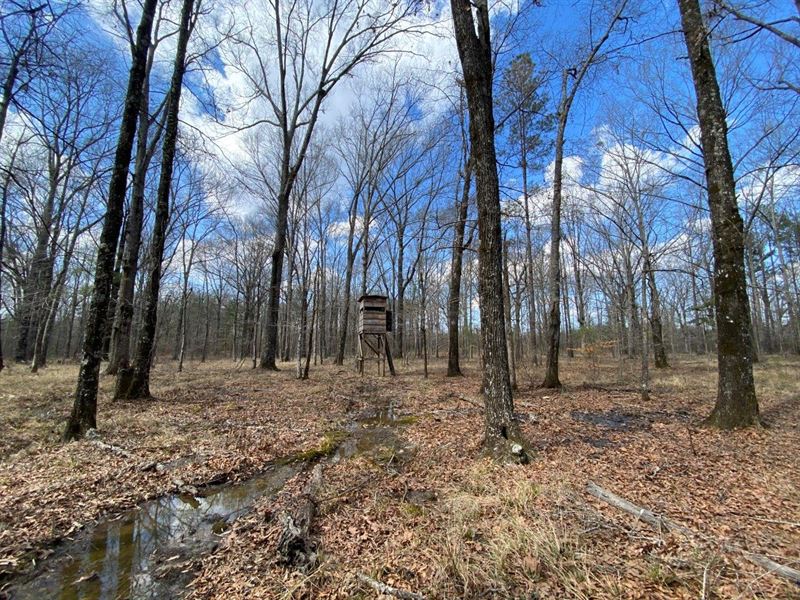 Pine Level Recreational Tract Farm for Sale in Ramer, Montgomery