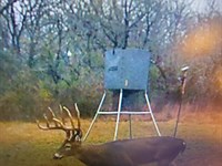 40 Acre Golden Dove Road Recreation : Garvin : McCurtain County : Oklahoma